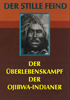 Ojibwa-Indianer